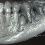 ct1
